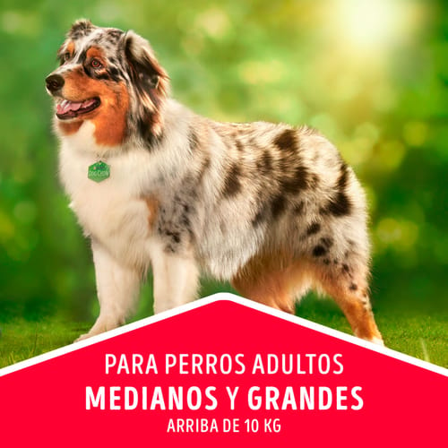 DOG CHOW® Alimento para Perros Adultos Medianos y Grandes 4kg 