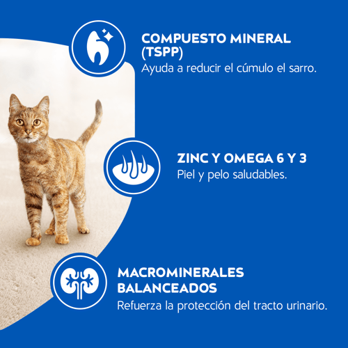 CAT CHOW® Alimento para Gatos Adultos Sabor Carne 1,5 kg
